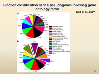 Function classification of rice pseudogenes following gene 
ontology terms…. 
Guo et al., 2009 
31 
 