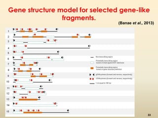 Gene structure model for selected gene-like 
fragments. 
(Banae et al., 2013) 
33 
 
