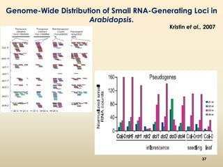 Genome-Wide Distribution of Small RNA-Generating Loci in 
Arabidopsis. 
Kristin et al., 2007 
37 
 