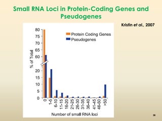 Small RNA Loci in Protein-Coding Genes and 
Pseudogenes 
Kristin et al., 2007 
38 
 