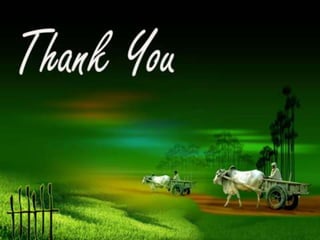 Formation and expression ofpseudogenes