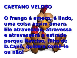 CAETANO VELOSOCAETANO VELOSO
O frango é amaro, é lindo,O frango é amaro, é lindo,
uma coisa assim amara.uma coisa assim amara.
Ele atravessou, atravessaEle atravessou, atravessa
e atravessará a estradae atravessará a estrada
porque Narciso, filho deporque Narciso, filho de
D.Canô, quisera comê-loD.Canô, quisera comê-lo
ou não!ou não!
 