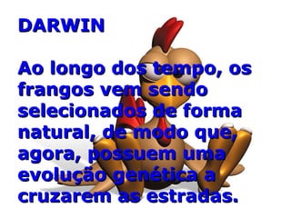 DARWIN Ao longo dos tempo, os frangos vem sendo selecionados de forma natural, de modo que, agora, possuem uma evolução genética a cruzarem as estradas. 