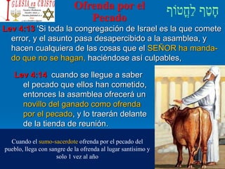 Ofrenda por el
Pecado
Lev 4:13 'Si toda la congregación de Israel es la que comete
error, y el asunto pasa desapercibido a la asamblea, y
hacen cualquiera de las cosas que el SEÑOR ha manda-
do que no se hagan, haciéndose así culpables,
Lev 4:14 cuando se llegue a saber
el pecado que ellos han cometido,
entonces la asamblea ofrecerá un
novillo del ganado como ofrenda
por el pecado, y lo traerán delante
de la tienda de reunión.
Cuando el sumo-sacerdote ofrenda por el pecado del
pueblo, llega con sangre de la ofrenda al lugar santísimo y
solo 1 vez al año
 