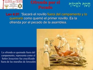 Ofrenda por el
Pecado
Lev 4:21 'Sacará el novillo fuera del campamento y lo
quemará como quemó el primer novillo. Es la
ofrenda por el pecado de la asamblea.
La ofrenda es quemada fuera del
campamento, representa como el
Señor Jesucristo fue crucificado
fuera de las murallas de Jerusalén
 