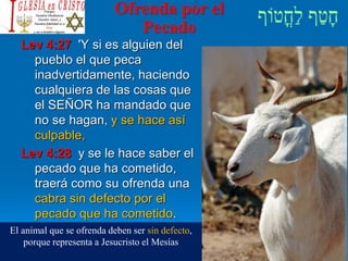 Ofrenda por el
Pecado
Lev 4:27 'Y si es alguien del
pueblo el que peca
inadvertidamente, haciendo
cualquiera de las cosas que
el SEÑOR ha mandado que
no se hagan, y se hace así
culpable,
Lev 4:28 y se le hace saber el
pecado que ha cometido,
traerá como su ofrenda una
cabra sin defecto por el
pecado que ha cometido.
El animal que se ofrenda deben ser sin defecto,
porque representa a Jesucristo el Mesías
 