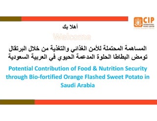 ‫ك‬ ‫أھ‬
Potential Contribution of Food & Nutrition Security
through Bio-fortified Orange Flashed Sweet Potato in
Saudi Arabia
‫ل‬ ‫ر‬ ‫ا‬ ‫ل‬ ‫ن‬ ‫ذ‬ ‫وا‬ ‫ذا‬ ‫ا‬ ‫ن‬ ‫ا‬ ‫ھ‬ ‫ا‬
‫ود‬ ‫ا‬ ‫ر‬ ‫ا‬ ‫وي‬ ‫ا‬ ‫د‬ ‫ا‬ ‫وة‬ ‫ا‬ ‫ط‬ ‫ط‬ ‫ا‬ ‫ض‬ ‫و‬
 
