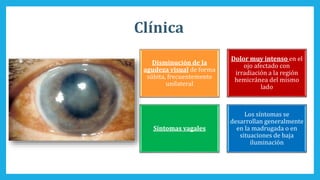 Clínica
Disminución de la
agudeza visual de forma
súbita, frecuentemente
unilateral
Dolor muy intenso en el
ojo afectado con
irradiación a la región
hemicránea del mismo
lado
Síntomas vagales
Los síntomas se
desarrollan generalmente
en la madrugada o en
situaciones de baja
iluminación
 