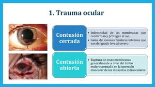 1. Trauma ocular
• Indemnidad de las membranas que
conforman y protegen el ojo.
• Gama de lesiones tisulares internas que
van del grado leve al severo
Contusión
cerrada
• Ruptura de estas membranas
generalmente a nivel del limbo
esclerocorneal o en la inserción
muscular de los músculos extraoculares
Contusión
abierta
 