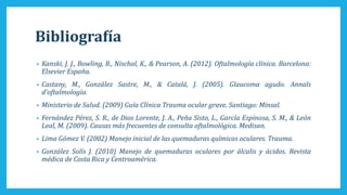 Bibliografía
• Kanski, J. J., Bowling, B., Nischal, K., & Pearson, A. (2012). Oftalmología clínica. Barcelona:
Elsevier España.
• Castany, M., González Sastre, M., & Catalá, J. (2005). Glaucoma agudo. Annals
d'oftalmología.
• Ministerio de Salud. (2009) Guía Clínica Trauma ocular grave. Santiago: Minsal.
• Fernández Pérez, S. R., de Dios Lorente, J. A., Peña Sisto, L., García Espinosa, S. M., & León
Leal, M. (2009). Causas más frecuentes de consulta oftalmológica. Medisan.
• Lima Gómez V. (2002) Manejo inicial de las quemaduras químicas oculares. Trauma.
• González Solís J. (2010) Manejo de quemaduras oculares por álcalis y ácidos. Revista
médica de Costa Rica y Centroamérica.
 