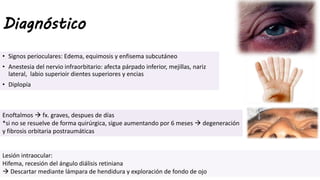 Diagnóstico
• Signos perioculares: Edema, equimosis y enfisema subcutáneo
• Anestesia del nervio infraorbitario: afecta párpado inferior, mejillas, nariz
lateral, labio superioir dientes superiores y encias
• Diplopía
Lesión intraocular:
Hifema, recesión del ángulo diálisis retiniana
 Descartar mediante lámpara de hendidura y exploración de fondo de ojo
Enoftalmos  fx. graves, despues de días
*si no se resuelve de forma quirúrgica, sigue aumentando por 6 meses  degeneración
y fibrosis orbitaria postraumáticas
 