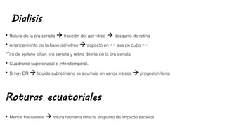 Dialisis
• Rotura de la ora serrata  tracción del gel vitreo  desgarro de retina
• Arrancamiento de la base del vitreo  aspecto en << asa de cubo >>
*Tira de epitelio ciliar, ora serrata y retina detrás de la ora serrata
• Cuadrante superonasal e inferotemporal.
• Si hay DR  liquido subretiniano se acumula en varios meses  progesion lenta
Roturas ecuatoriales
• Menos frecuentes  rotura retiniana directa en punto de impacto escleral
 