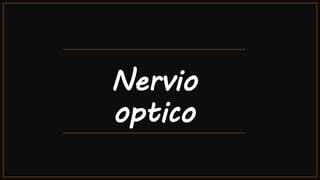 Nervio
optico
 