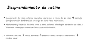Desprendimiento de retina
• Incarceración del vítreo en herida traumatica y sangre en el interior del gel vítreo  estímulo
para proliferación de fibriblastos a lo largo del plano vítreo incarcerado.
• Acortamiento y efecto de rodadura sobre la retina periférica en la región de la base del vitreo y
finalmente un desprendimiento de retina por tracción anterior
• Semanas despues  roturas retinianas  extensión subita de líquido subrretiniano 
perdida visual
 