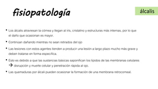 fisiopatología
• Los álcalis atraviesan la córnea y llegan al iris, cristalino y estructuras más internas, por lo que
el daño que ocasionan es mayor.
• Continúan dañando mientras no sean retirados del ojo
• Las lesiones con estos agentes tienden a producir una lesión a largo plazo mucho más grave y
deben tratarse en forma específica.
• Esto es debido a que las sustancias básicas saponifican los lípidos de las membranas celulares
 disrupción y muerte celular y penetración rápida al ojo.
• Las quemaduras por álcali pueden ocasionar la formación de una membrana retrocorneal.
álcalis
 