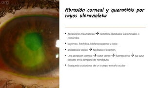 Abrasión corneal y queratitis por
rayos ultravioleta
• Abrasiones traumáticas  defectos epiteliales superficiales o
profundos
• lagrimeo, fotofobia, blefaroespasmo y dolor.
• anestésico tópico  facilitará el examen.
• Una abrasión corneal  color verde  fluoresceína  luz azul
cobalto en la lámpara de hendidura.
• Búsqueda cuidadosa de un cuerpo extraño ocular
 
