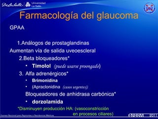 Farmacología del glaucoma
GPAA

  1.Análogos de prostaglandinas
Aumentan vía de salida uveoescleral
   2.Beta bloqueadores*
      • Timolol (puede usarse proongado)
   3. Alfa adrenérgicos*
       •   Brimonidina
       •   (Apraclonidina (casos urgentes))
       Bloqueadores de anhidrasa carbónica*
       • dorzolamida
   *Disminuyen producción HA: (vasoconstricción
                            en procesos ciliares)
 