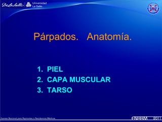 Párpados. Anatomía.


1. PIEL
2. CAPA MUSCULAR
3. TARSO
 
