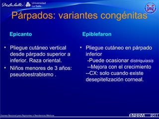 Párpados: variantes congénitas
  Epicanto                    Epiblefaron

• Pliegue cutáneo vertical   • Pliegue cutáneo en párpado
  desde párpado superior a     inferior
  inferior. Raza oriental.      -Puede ocasionar distriquiasis
• Niños menores de 3 años:      --Mejora con el crecimiento
  pseudoestrabismo .           --CX: solo cuando existe
                               desepitelización corneal.
 