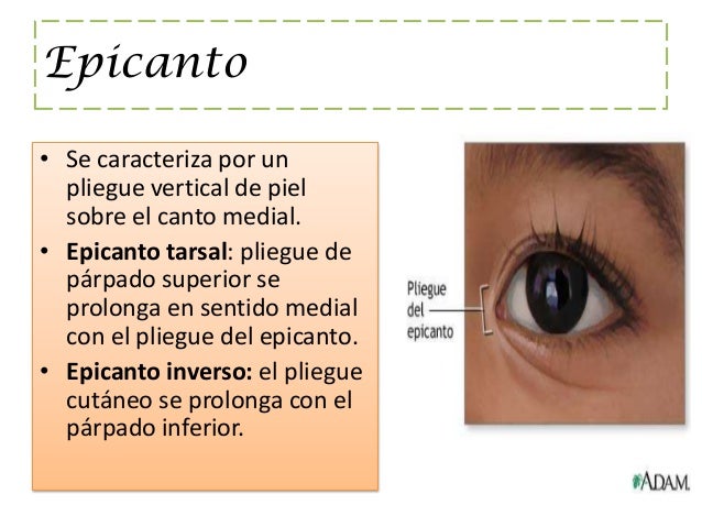 Hidrolipídico la máscara para la persona con el caviar rojo