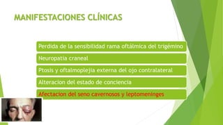 MANIFESTACIONES CLÍNICAS
Perdida de la sensibilidad rama oftálmica del trigémino
Neuropatia craneal
Ptosis y oftalmoplejia externa del ojo contralateral
Alteracion del estado de conciencia
Afectacion del seno cavernosos y leptomeninges
 