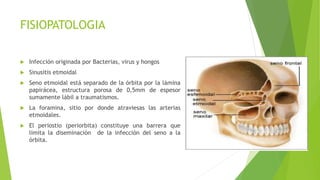 FISIOPATOLOGIA
 Infección originada por Bacterias, virus y hongos
 Sinusitis etmoidal
 Seno etmoidal está separado de la órbita por la lámina
papirácea, estructura porosa de 0,5mm de espesor
sumamente lábil a traumatismos.
 La foramina, sitio por donde atraviesas las arterias
etmoidales.
 El periostio (periorbita) constituye una barrera que
limita la diseminación de la infección del seno a la
órbita.
 