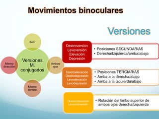 Movimientos binoculares
Versiones
M.
conjugados
Son:
Ambos
ojos
Mismo
sentido
Misma
dirección
Dextroversión
Levoversión
Elevación
Depresión
• Posiciones SECUNDARIAS
• Derecha/Izquierda/arriba/abajo
• Posiciones TERCIARIAS
• Arriba a la derecha/abajo
• Arriba a la izquierda/abajo
Dextroelevación
Dextrodepresión
Levoelevación
Levodepresión
Dextrocicloversión
Levocicloversión
• Rotación del limbo superior de
ambos ojos derecha/izquierda
Versiones
 