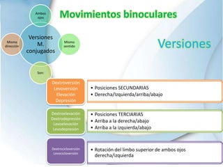 Movimientos binoculares
Versiones
M.
conjugados
Ambos
ojos
Mismo
sentido
Son:
Misma
dirección
Dextroversión
Levoversión
Elevación
Depresión
• Posiciones SECUNDARIAS
• Derecha/Izquierda/arriba/abajo
• Posiciones TERCIARIAS
• Arriba a la derecha/abajo
• Arriba a la izquierda/abajo
Dextroelevación
Dextrodepresión
Levoelevación
Levodepresión
Dextrocicloversión
Levocicloversión
• Rotación del limbo superior de ambos ojos
derecha/izquierda
Versiones
 