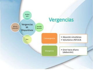 Vergencias
Vergencias
M.
Disyuntivos
Ambos
ojos
Sentido
opuesto
Son:
Misma
dirección
Convergencia
• Aducción simultánea
• Voluntaria o REFLEJA
Divergencia
• Girar hacia afuera
(abducción)
 