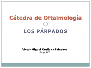 Cátedra de Oftalmología
LOS PÁRPADOS

Víctor Miguel Orellana Falcones
Grupo N°3

 