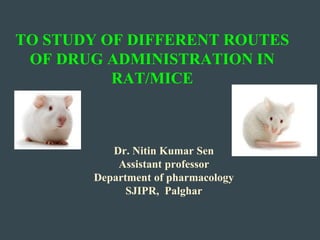 TO STUDY OF DIFFERENT ROUTES
OF DRUG ADMINISTRATION IN
RAT/MICE
Dr. Nitin Kumar Sen
Assistant professor
Department of pharmacology
SJIPR, Palghar
 