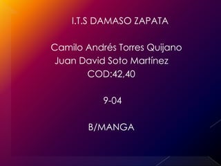        I.T.S DAMASO ZAPATA Cesar augusto sierra Sandoval Nathalia Andrea bueno ariza COD:39 - 07 9-04 B/MANGA  