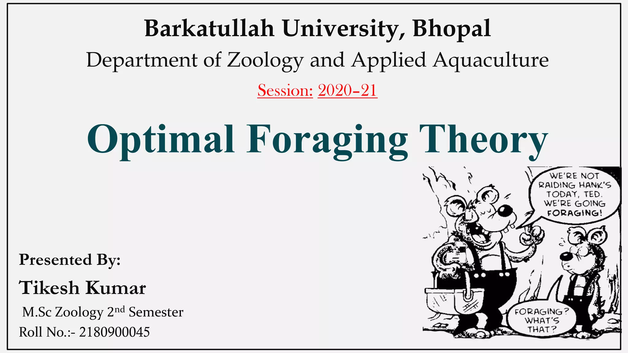 Optimal Foraging Theory
Presented By:
Tikesh Kumar
M.Sc Zoology 2nd Semester
Roll No.:- 2180900045
Barkatullah University, Bhopal
Department of Zoology and Applied Aquaculture
Session: 2020–21
1
 