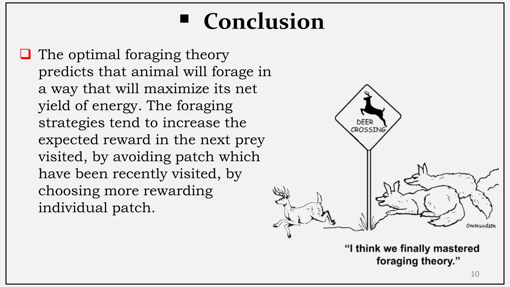 Optimal Foraging Theory (OFT) | PDF | Beekeeping | Hobbies & Interests
