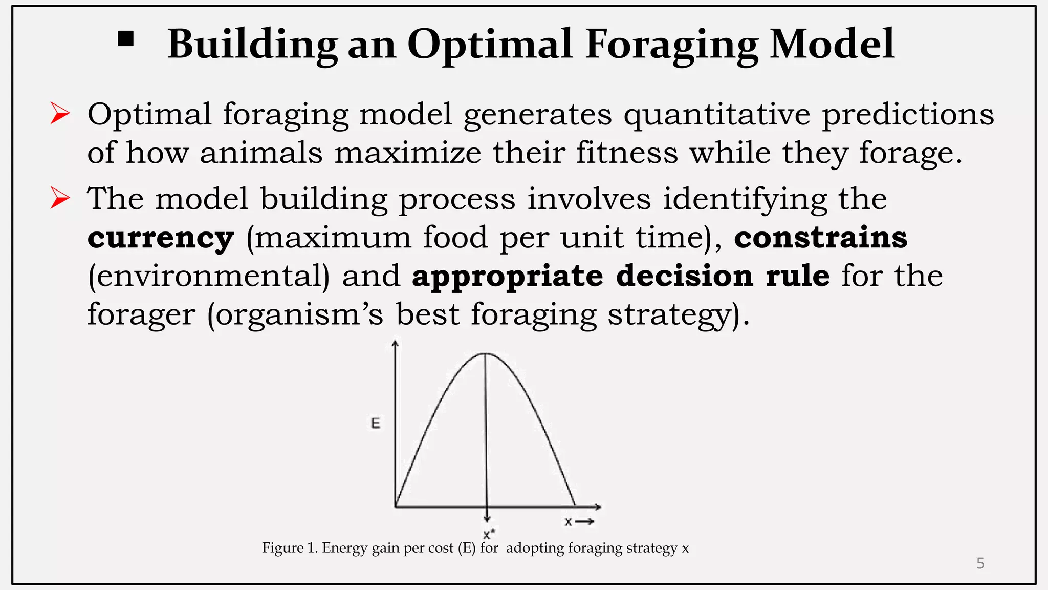 Optimal Foraging Theory (OFT) | PDF | Beekeeping | Hobbies & Interests
