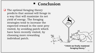 Optimal Foraging Theory (OFT) | PDF