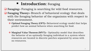 Optimal Foraging Theory (OFT) | PDF | Beekeeping | Hobbies & Interests