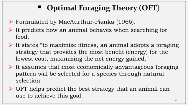 Optimal Foraging Theory (OFT) | PDF | Beekeeping | Hobbies & Interests
