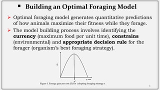 Optimal Foraging Theory (OFT) | PDF | Beekeeping | Hobbies & Interests