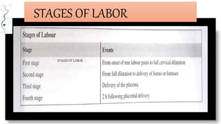STAGES OF LABOR
STAGES OF LABOR
 