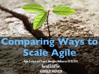Comparing Ways to 
Scale Agile 
Agile Product and Project Managers Melbourne 28/10/2014 
Bernd Schiffer 
 