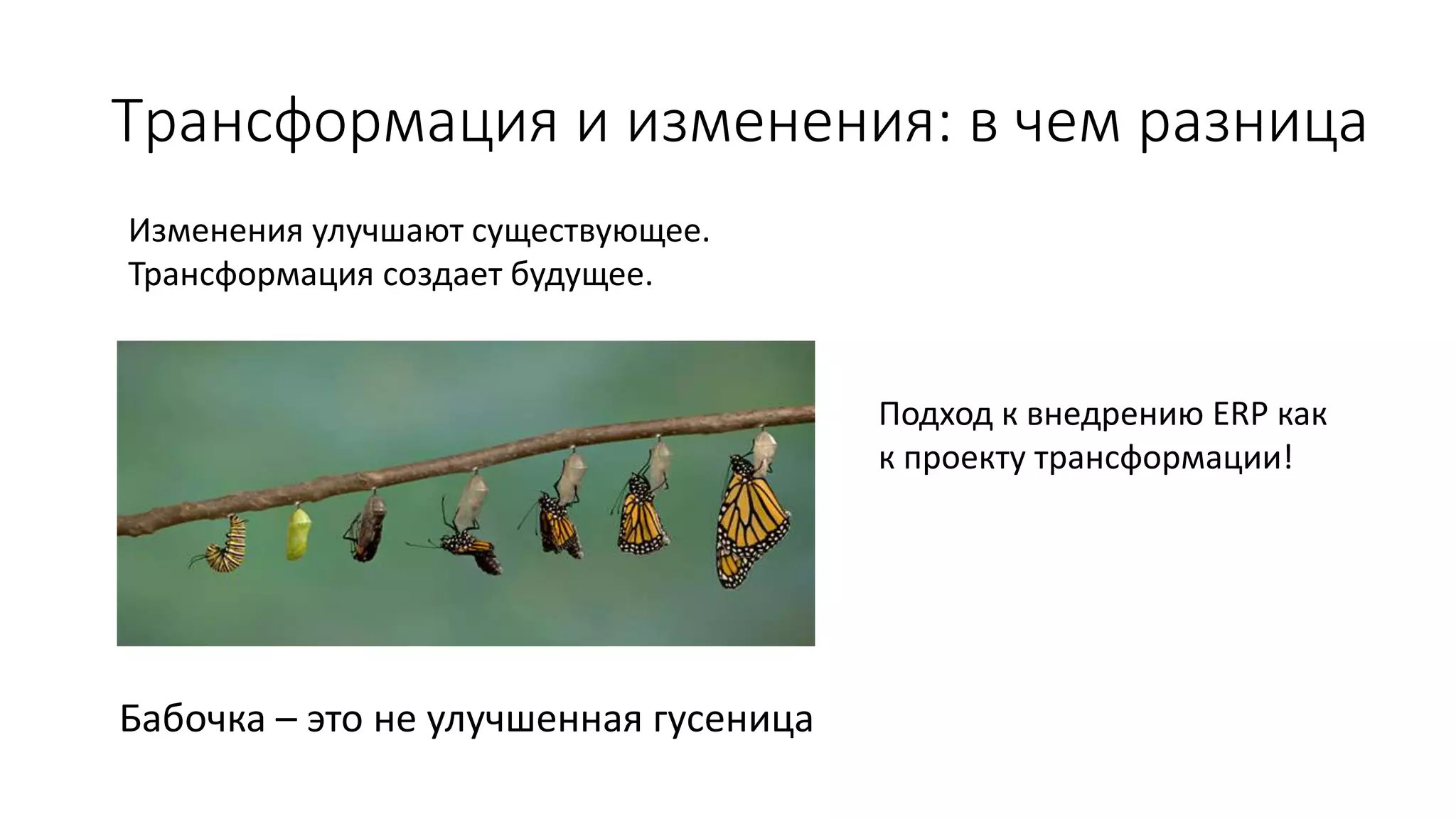 Трансформация и изменения: в чем разница
Изменения улучшают существующее.
Трансформация создает будущее.
Бабочка – это не улучшенная гусеница
Подход к внедрению ERP как
к проекту трансформации!
 