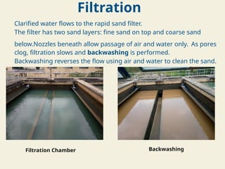 Filtration
Clarified water flows to the rapid sand filter.
The filter has two sand layers: fine sand on top and coarse sand
below.Nozzles beneath allow passage of air and water only. As pores
clog, filtration slows and backwashing is performed.
Backwashing reverses the flow using air and water to clean the sand.
Filtration Chamber Backwashing
 