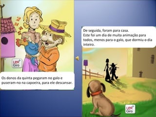Os donos da quinta pegaram no galo e puseram-no na capoeira, para ele descansar. De seguida, foram para casa.  Este foi um dia de muita animação para todos, menos para o galo, que dormiu o dia inteiro. 