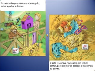 Os donos da quinta encontraram o galo, entre a palha, a dormir.  O galo ressonava muito alto, em vez de cantar, para acordar as pessoas e os animais da quinta. 