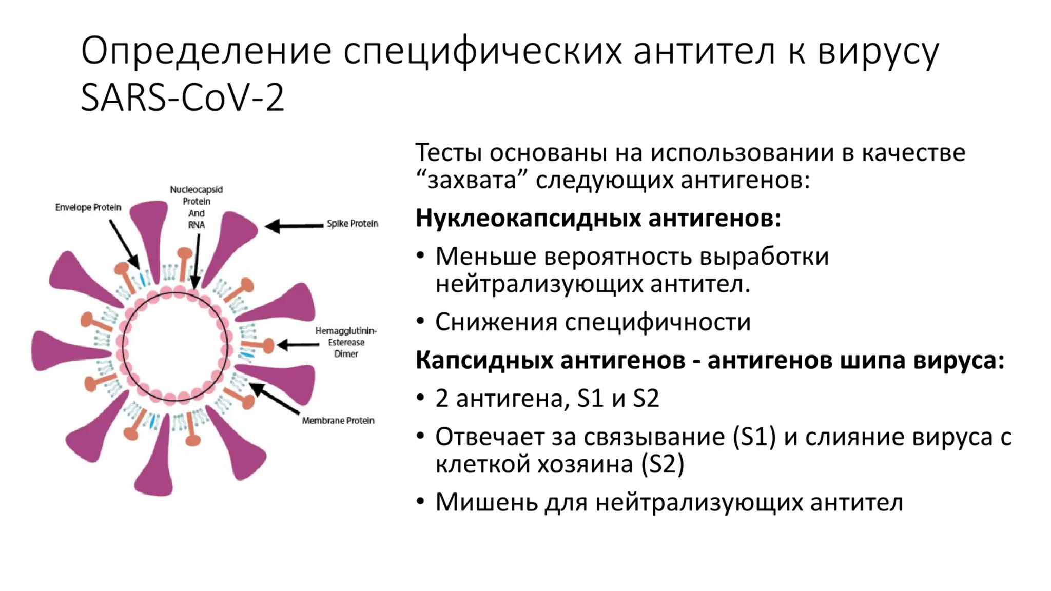 Імунологічні дослідження для виявлення та моніторингу інфекції COVID-19