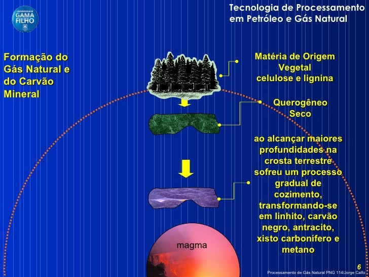Analise As Proposições Abaixo Sobre O Gás Natural