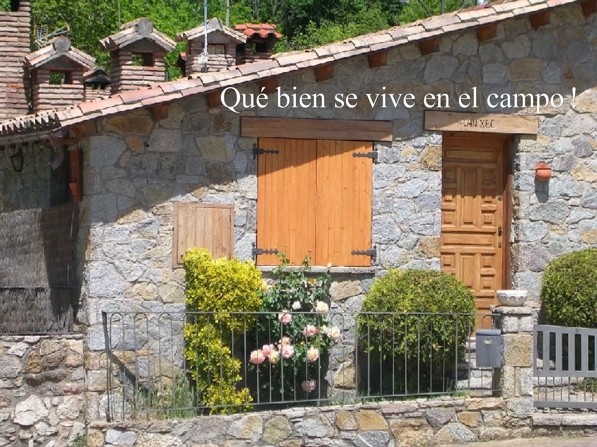 Qué bien se vive en el campo !