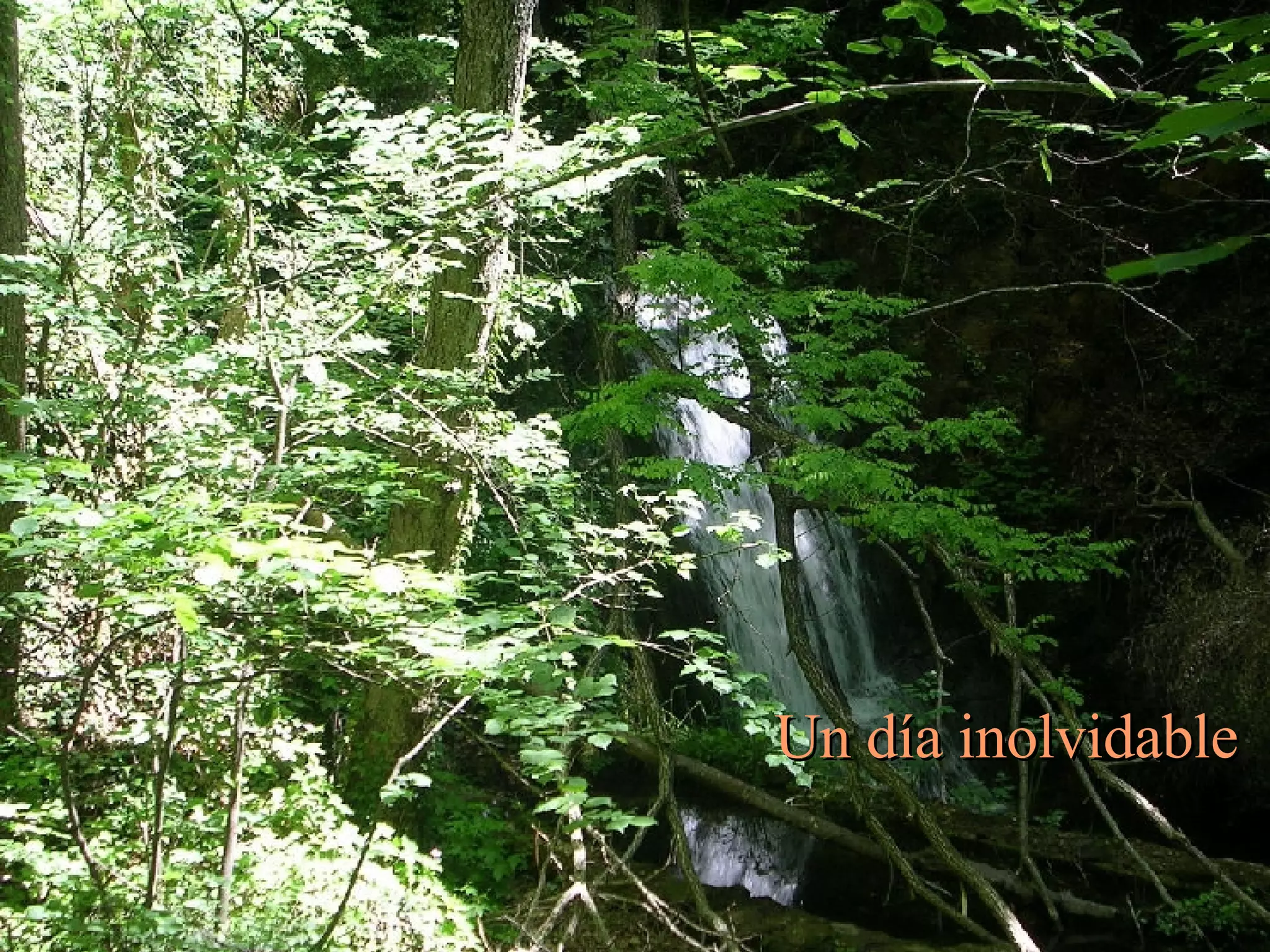 Un día inolvidable