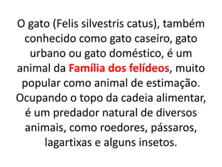 O gato (Felis silvestris catus), também
conhecido como gato caseiro, gato
urbano ou gato doméstico, é um
animal da Família dos felídeos, muito
popular como animal de estimação.
Ocupando o topo da cadeia alimentar,
é um predador natural de diversos
animais, como roedores, pássaros,
lagartixas e alguns insetos.
 
